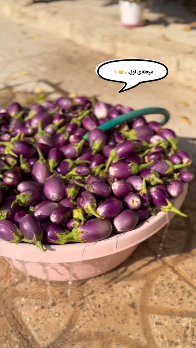 جدید ترین استوری اینستاگرام فاطیما