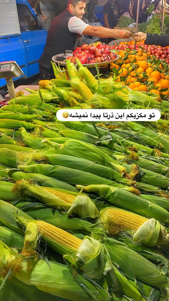  جدید ترین استوری اینستاگرام فاطیما