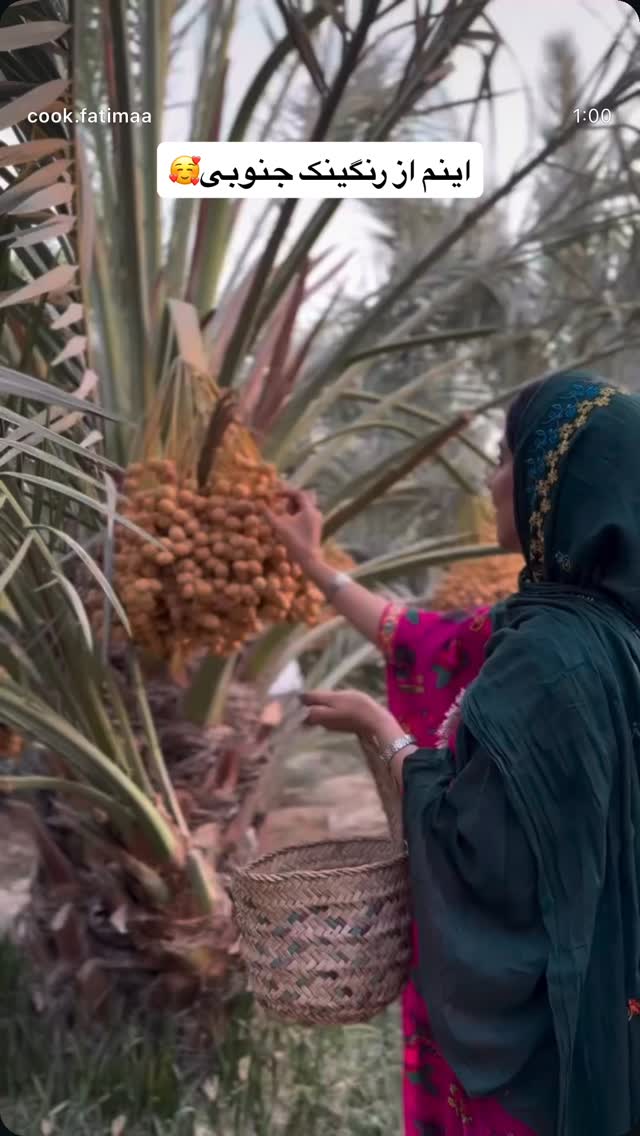  جدید ترین استوری اینستاگرام فاطیما