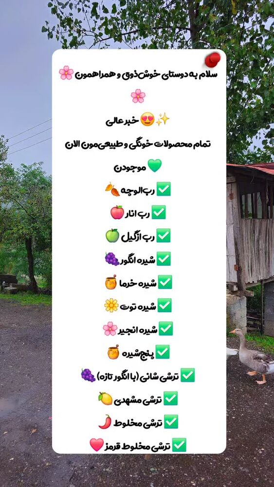  جدید ترین استوری اینستاگرام زندگی روستایی