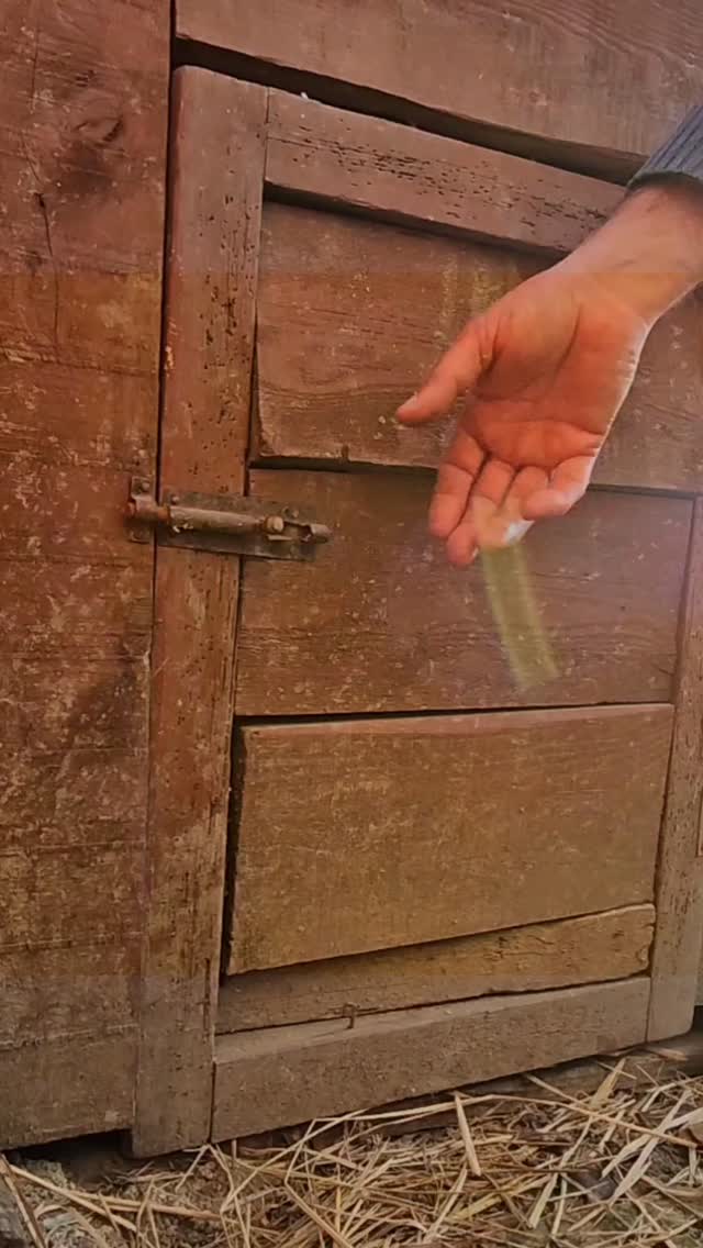  جدید ترین استوری اینستاگرام زندگی روستایی