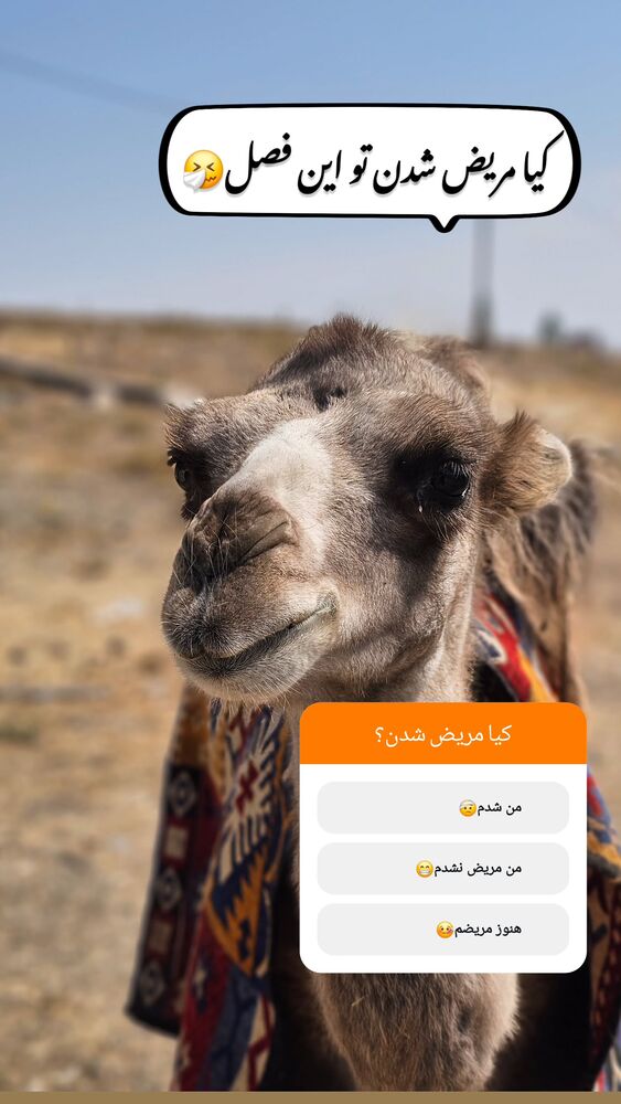 جدید ترین استوری اینستاگرام زندگی روستایی