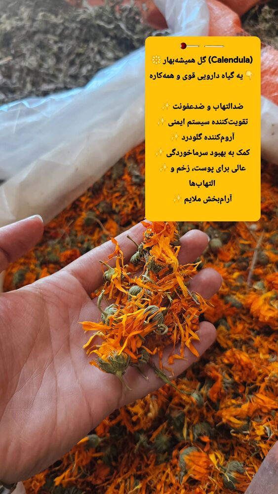  جدید ترین استوری اینستاگرام زندگی روستایی