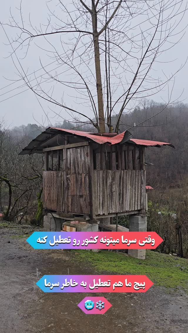  جدید ترین استوری اینستاگرام زندگی روستایی