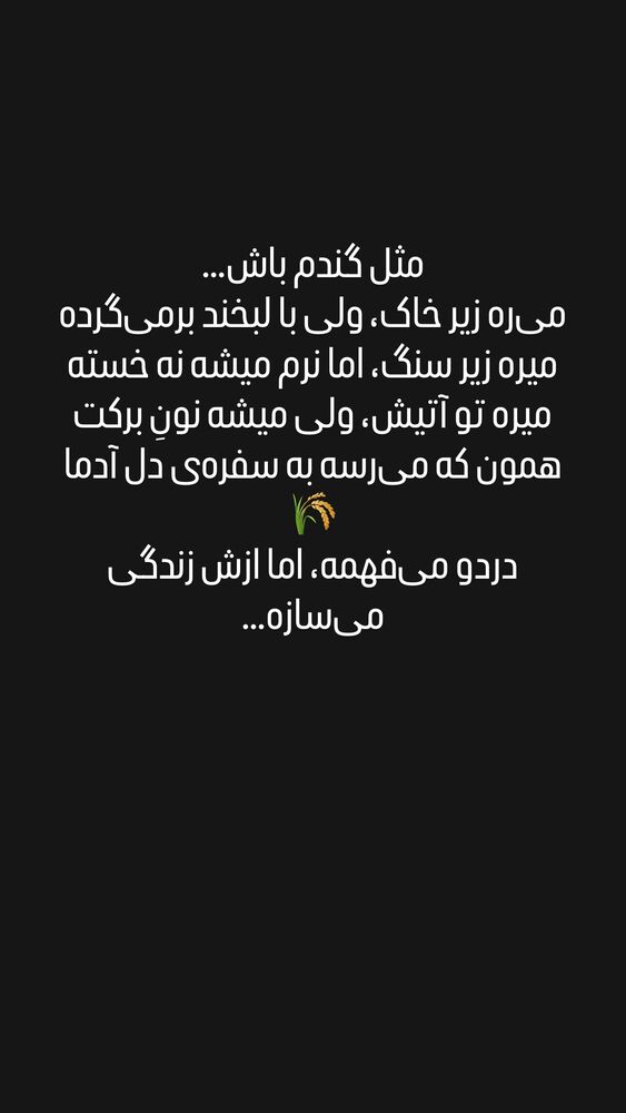  جدید ترین استوری اینستاگرام امیر دادستان
