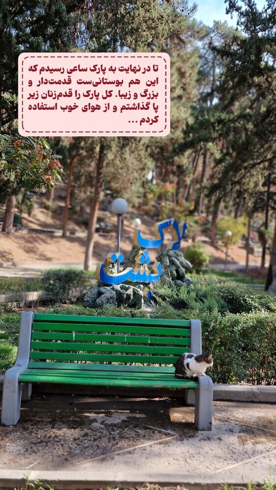 جدید ترین استوری اینستاگرام دامون قنبرزاده