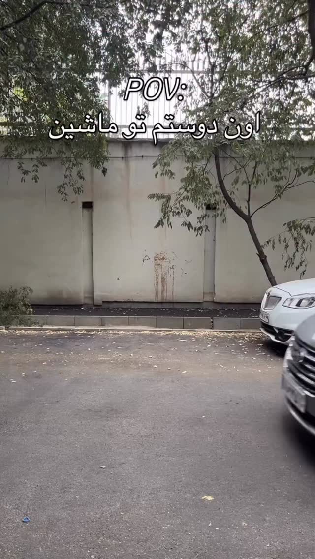  جدید ترین استوری اینستاگرام دانستنی روز