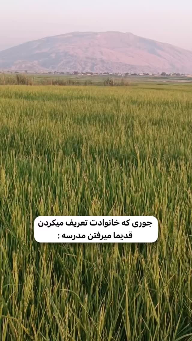  جدید ترین استوری اینستاگرام دانستنی روز