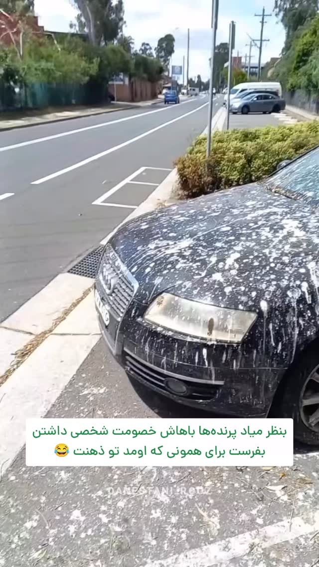  جدید ترین استوری اینستاگرام دانستنی روز