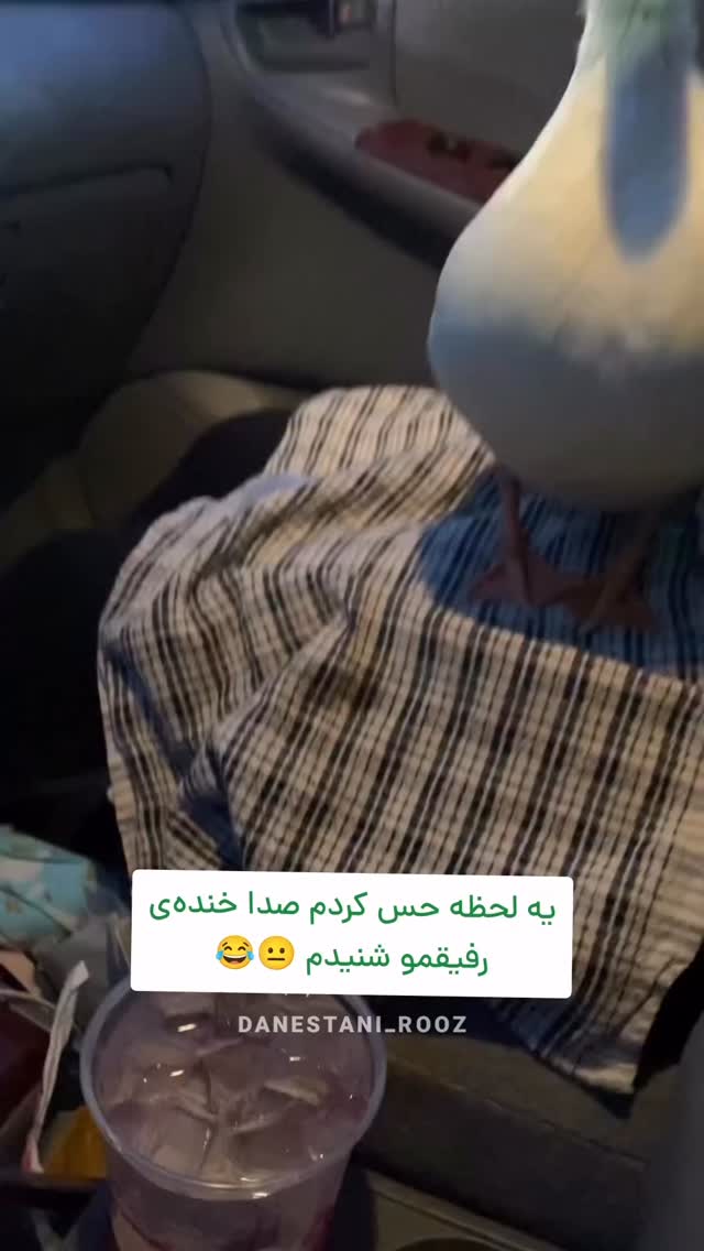  جدید ترین استوری اینستاگرام دانستنی روز