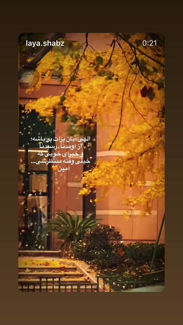  جدید ترین استوری اینستاگرام دانوش