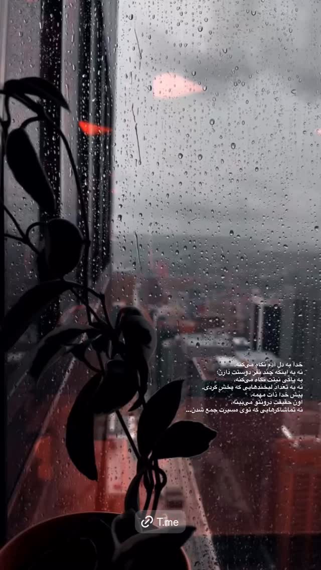  جدید ترین استوری اینستاگرام دانوش