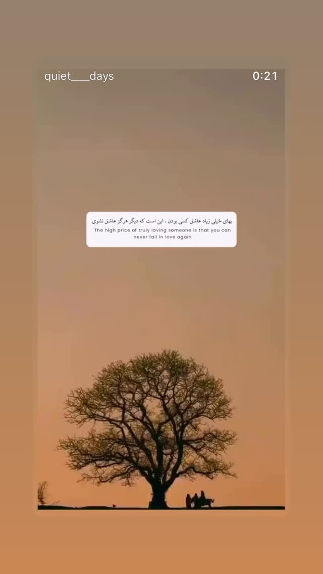  جدید ترین استوری اینستاگرام دانوش