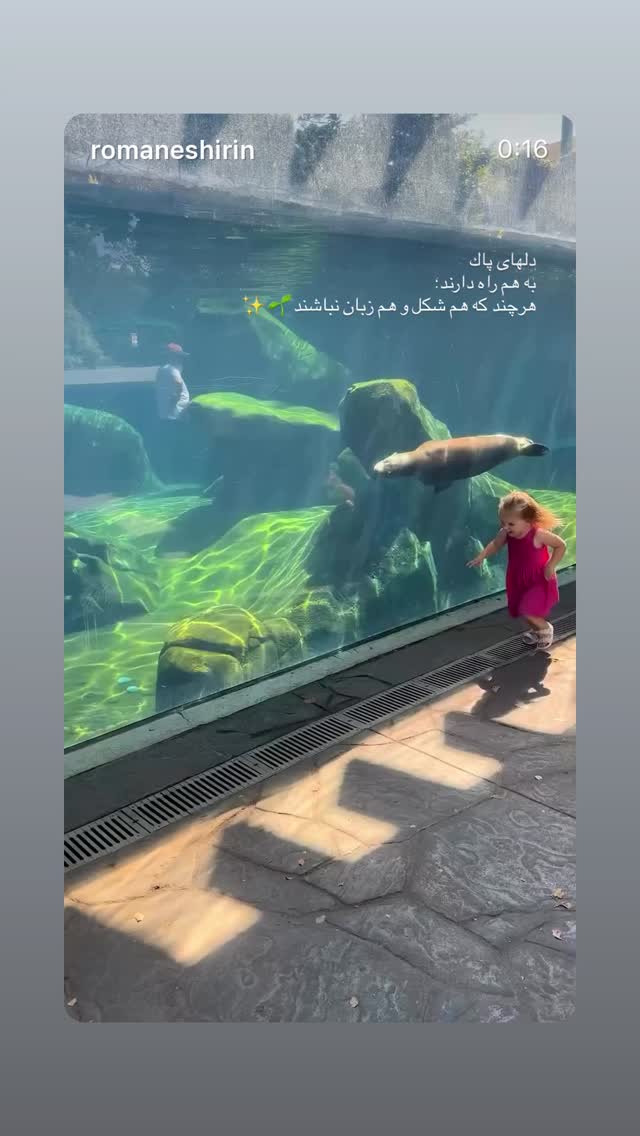  جدید ترین استوری اینستاگرام دانوش