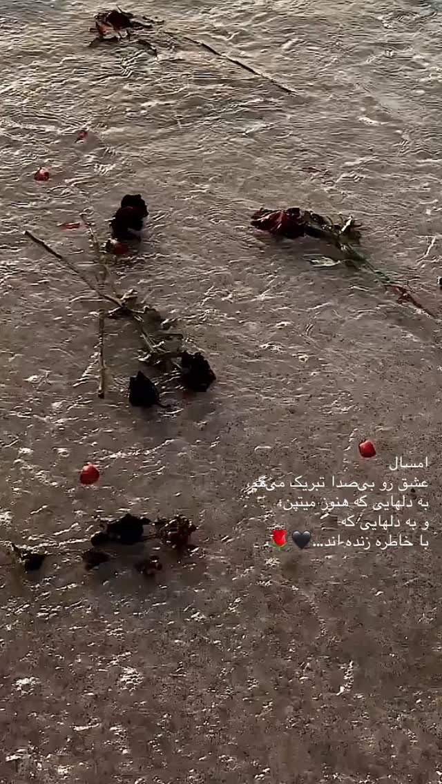  جدید ترین استوری اینستاگرام دانوش