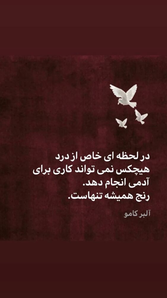  جدید ترین استوری اینستاگرام داریوش فرضیایی
