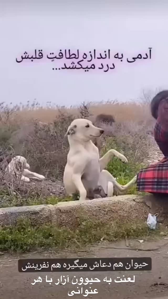  جدید ترین استوری اینستاگرام داریوش سلیمی