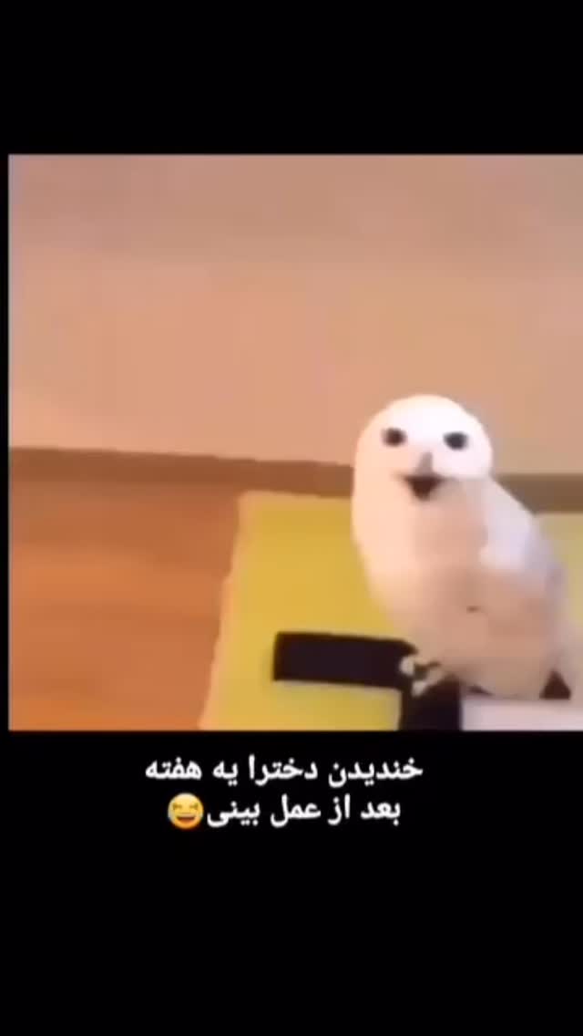  جدید ترین استوری اینستاگرام داریوش سلیمی
