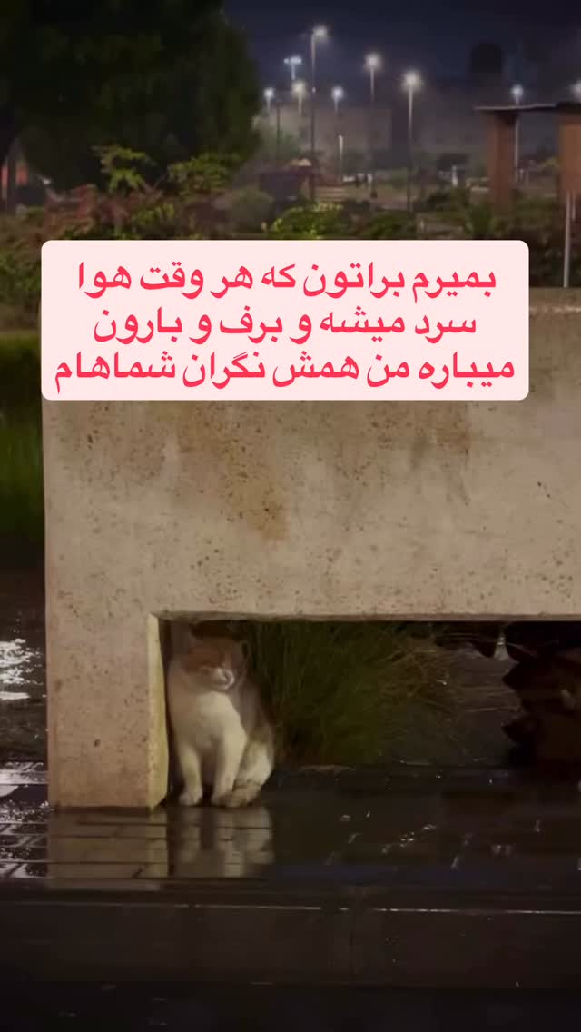  جدید ترین استوری اینستاگرام داریوش سلیمی