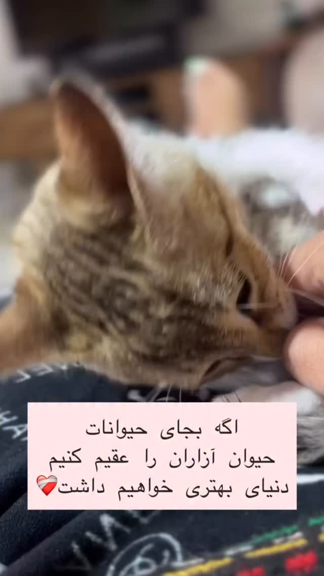  جدید ترین استوری اینستاگرام داریوش سلیمی