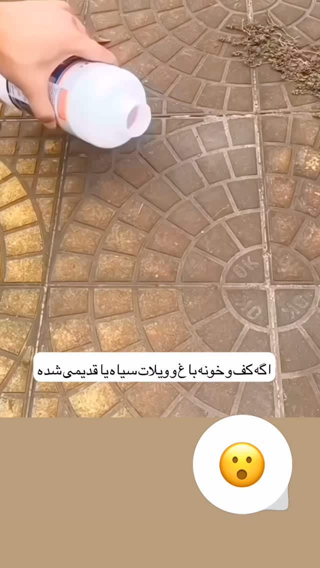  جدید ترین استوری اینستاگرام محسن طهرانی الهام آریانا