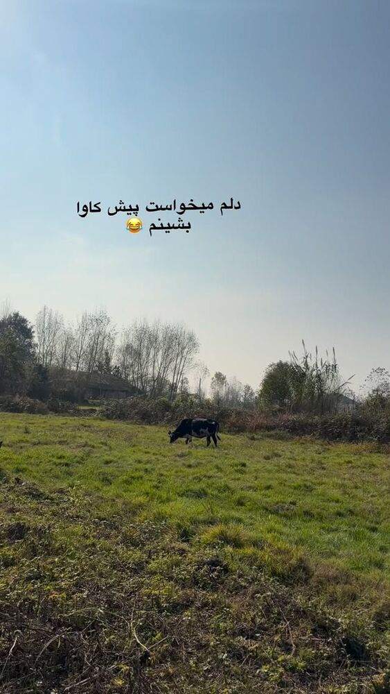  جدید ترین استوری اینستاگرام دلارام قشلاقي