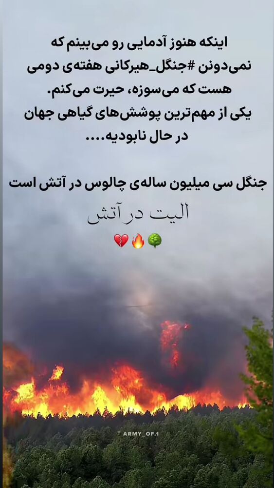  جدید ترین استوری اینستاگرام دلارام قشلاقي