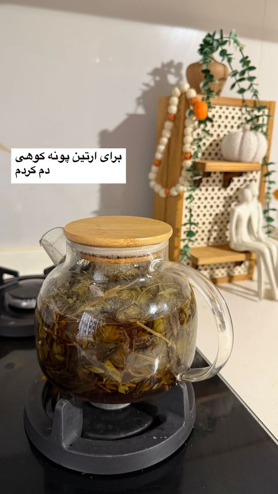  جدید ترین استوری اینستاگرام دلارام قشلاقي