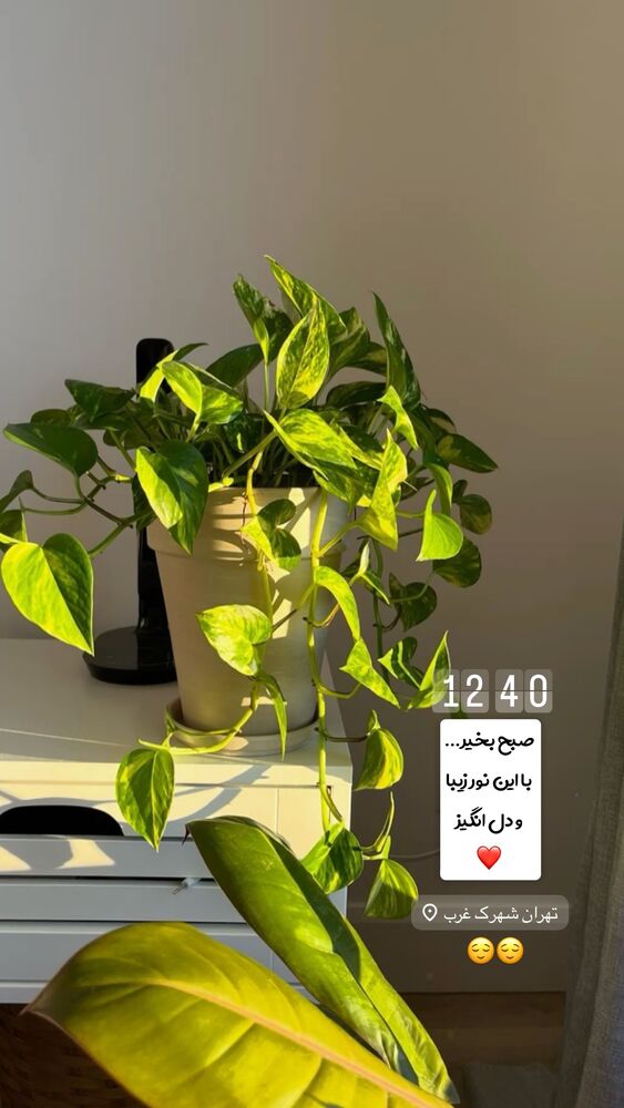  جدید ترین استوری اینستاگرام دنیز