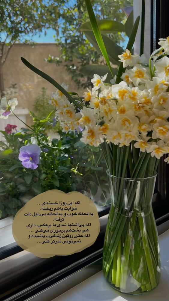  جدید ترین استوری اینستاگرام دنیز