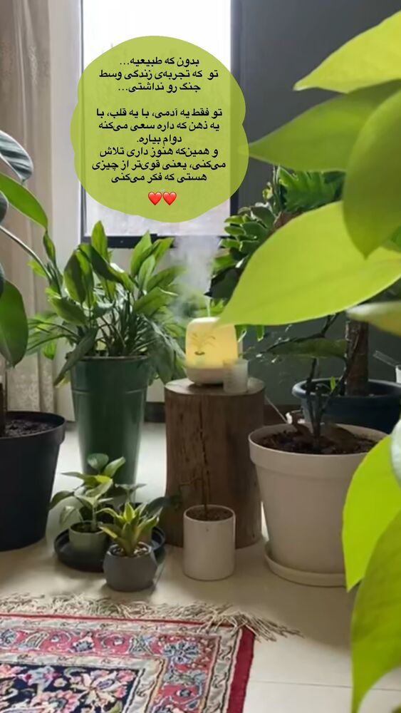 جدید ترین استوری اینستاگرام دنیز