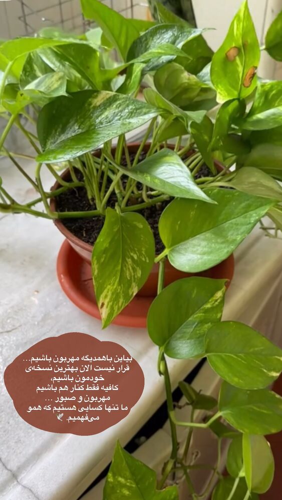  جدید ترین استوری اینستاگرام دنیز