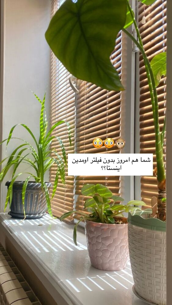  جدید ترین استوری اینستاگرام دنیز