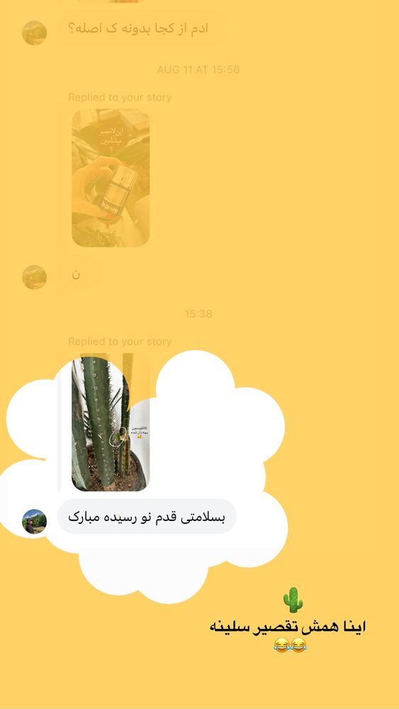 جدید ترین استوری اینستاگرام دنیز