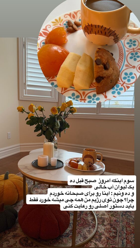  جدید ترین استوری اینستاگرام مهناز فرید