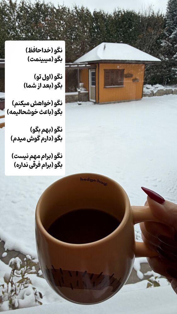  جدید ترین استوری اینستاگرام مهناز فرید