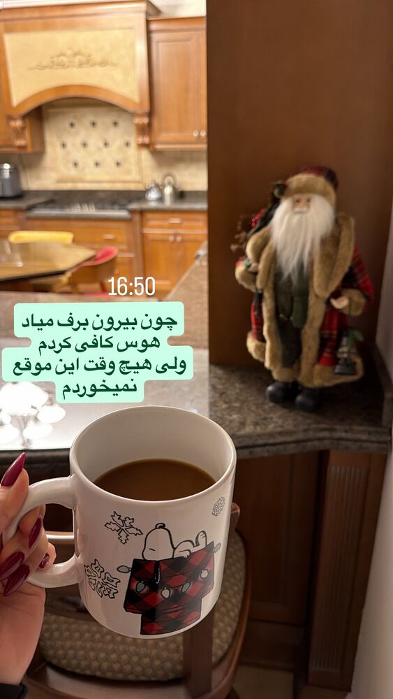  جدید ترین استوری اینستاگرام مهناز فرید