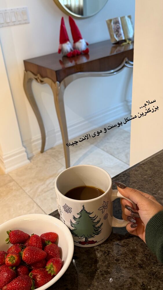  جدید ترین استوری اینستاگرام مهناز فرید