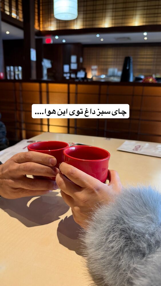  جدید ترین استوری اینستاگرام مهناز فرید