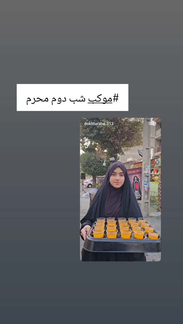  جدید ترین استوری اینستاگرام خادم رقیه 315