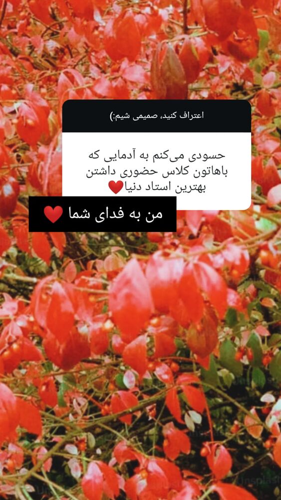  جدید ترین استوری اینستاگرام مارال دوستی