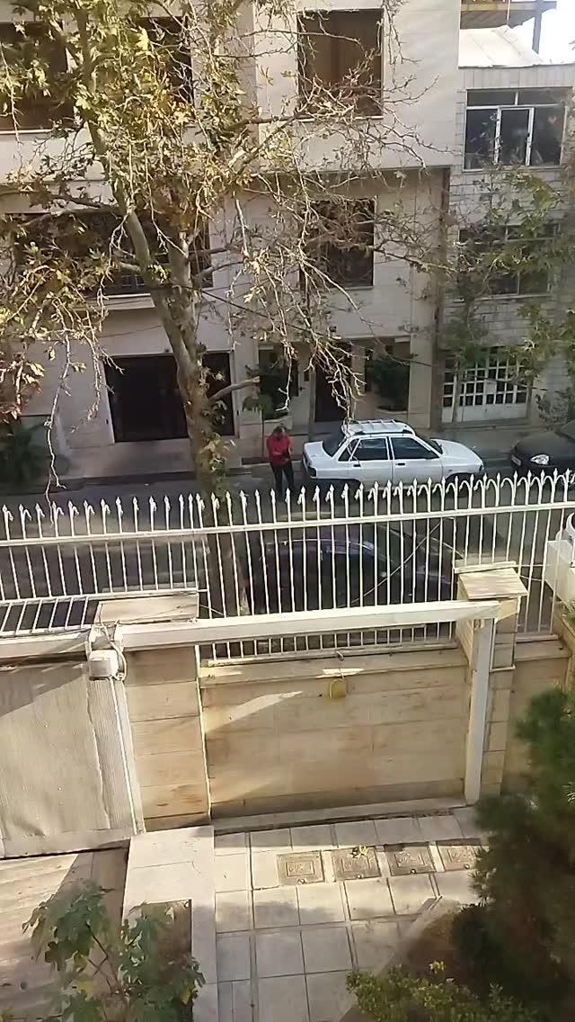  جدید ترین استوری اینستاگرام مارال دوستی
