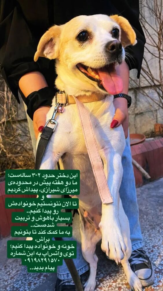  جدید ترین استوری اینستاگرام مارال دوستی
