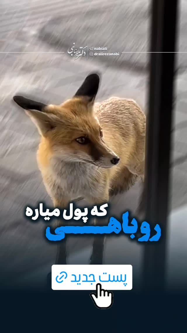  جدید ترین استوری اینستاگرام علیرضا نبی