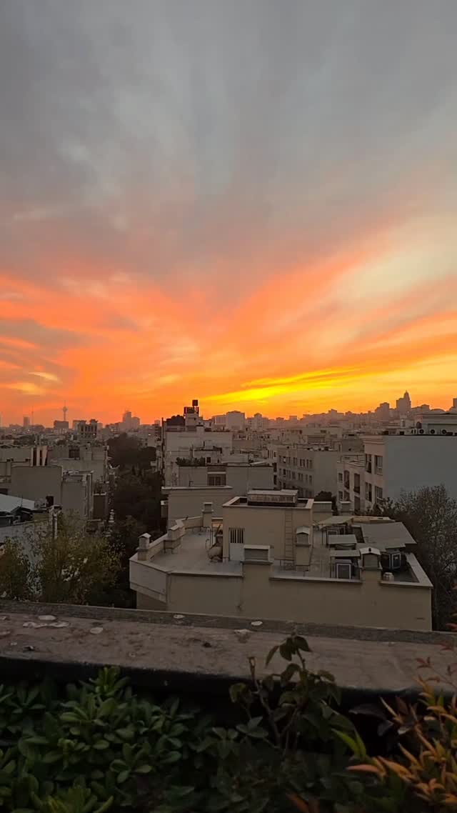  جدید ترین استوری اینستاگرام امیر احمدی