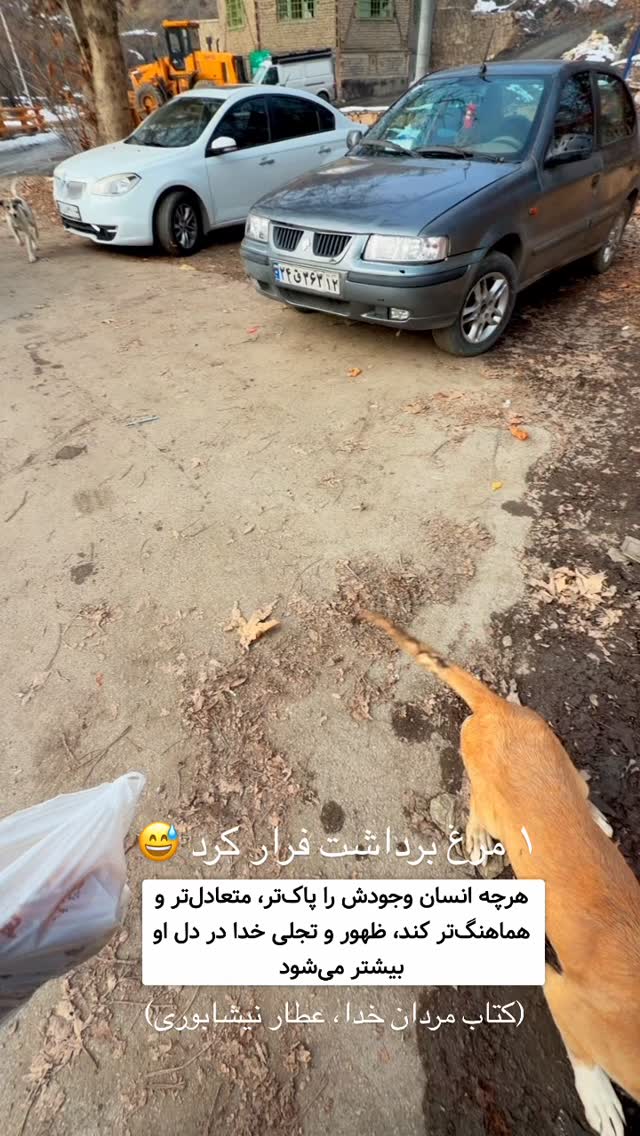  جدید ترین استوری اینستاگرام مینا برزگری