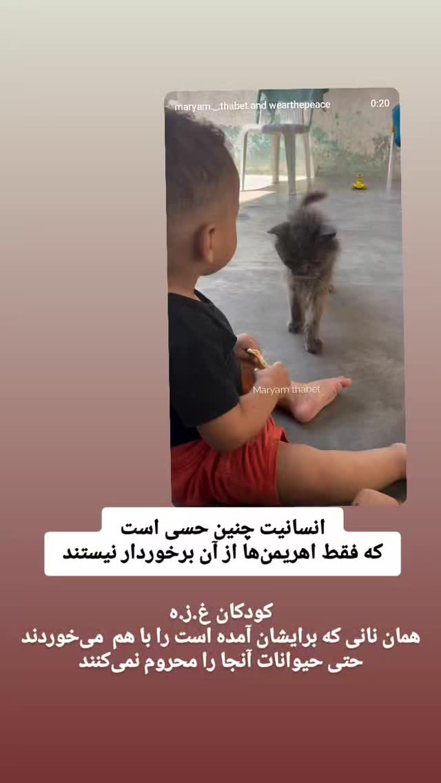  جدید ترین استوری اینستاگرام مرضیه مینایی پور