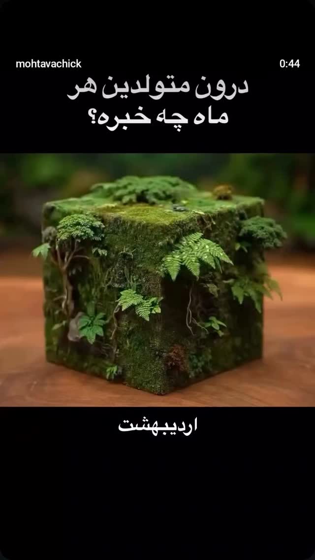  جدید ترین استوری اینستاگرام مرضیه مینایی پور