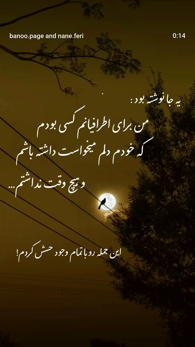  جدید ترین استوری اینستاگرام مرضیه مینایی پور