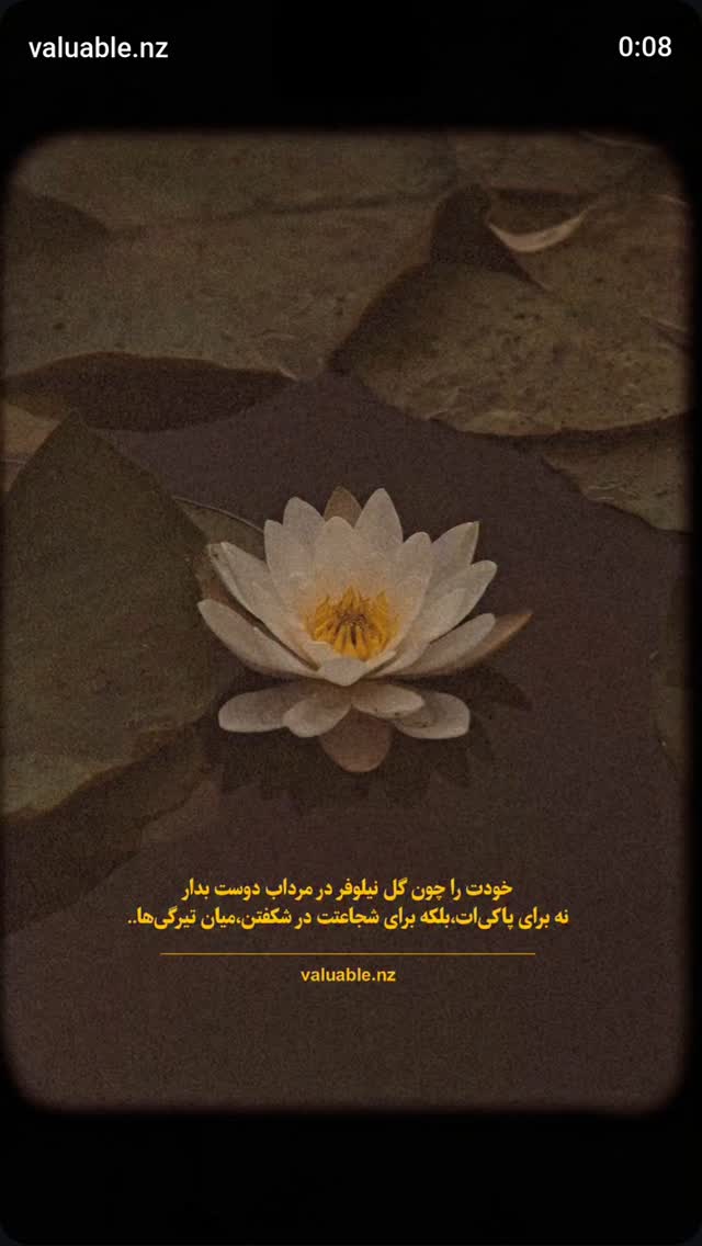  جدید ترین استوری اینستاگرام مرضیه مینایی پور